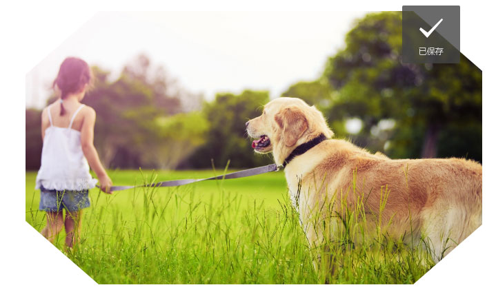 Super absorbent polymer for pet pads Super absorbent polymer for pet pads