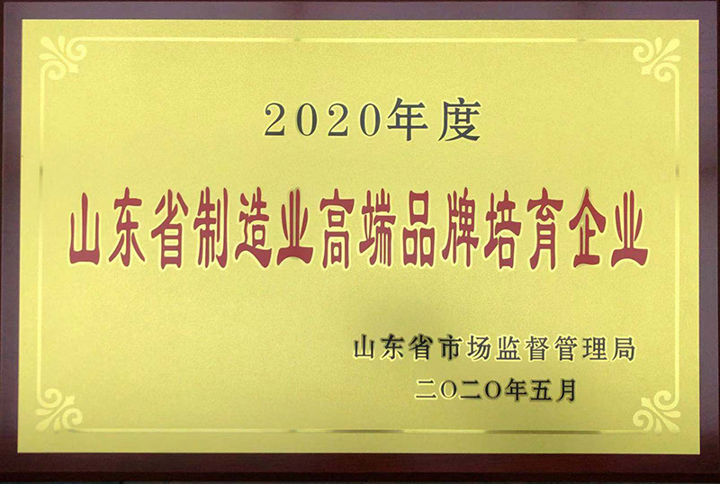 Shandong Manufacturing High-end Brand Cultivation Enterprise